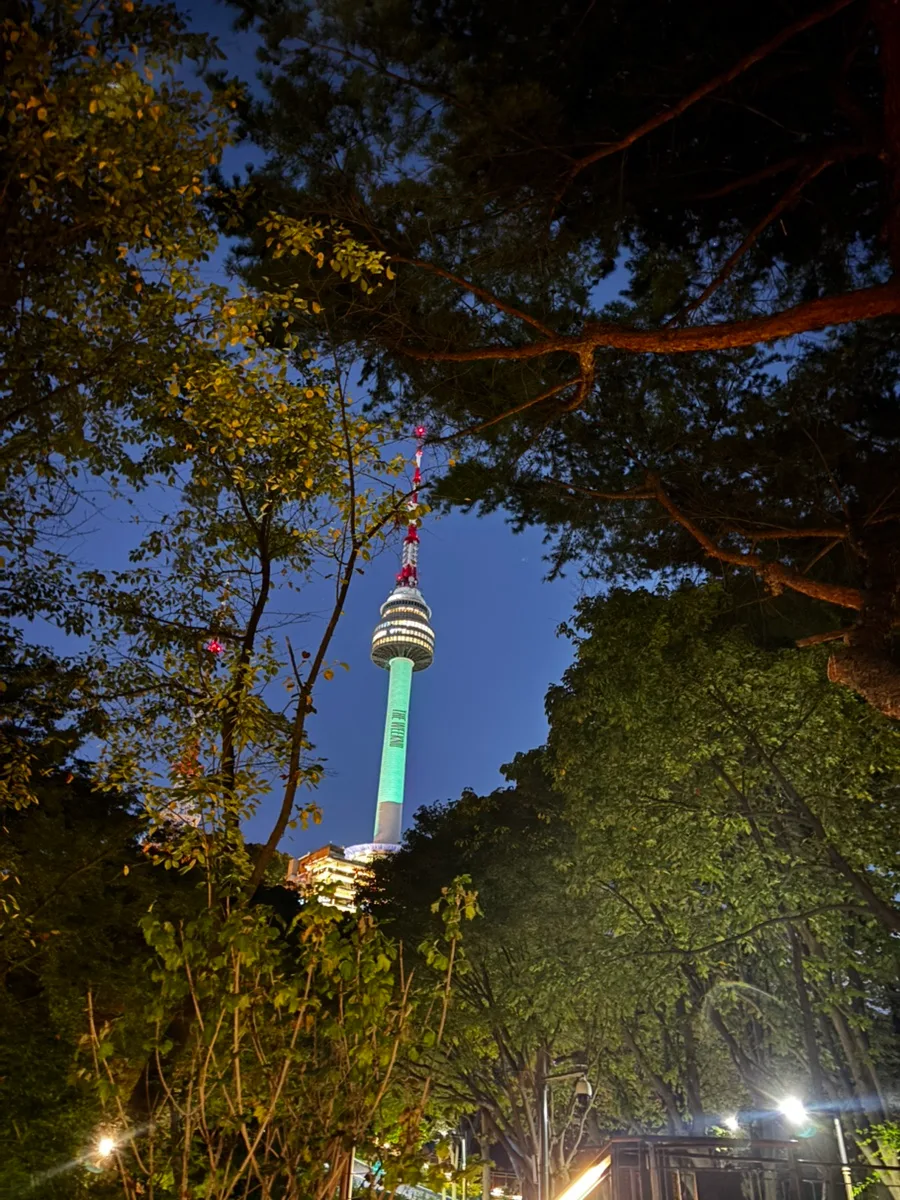 南山 空の森の道 — 木々の間に光るNソウルタワー
