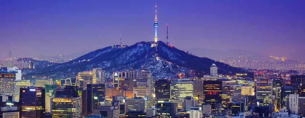 雪をかぶった南山とNソウルタワーの夜景
