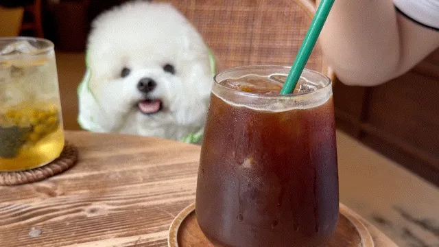 アメリカーノ