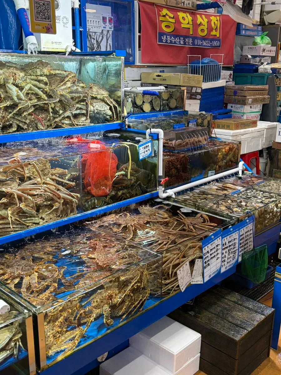 ノリャンジン水産市場 — カニが入った売場の水槽