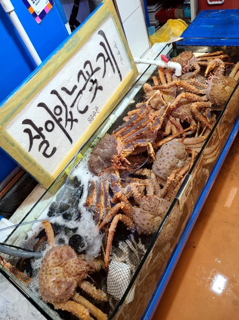 タラバガニが入った水槽