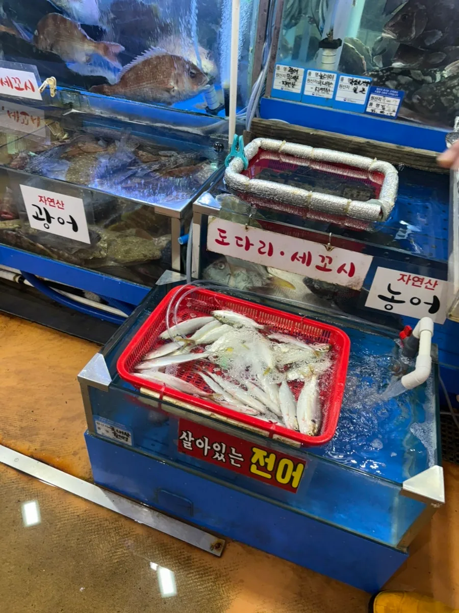 水槽とカゴに入った活魚