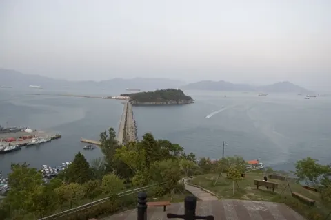 梧桐島