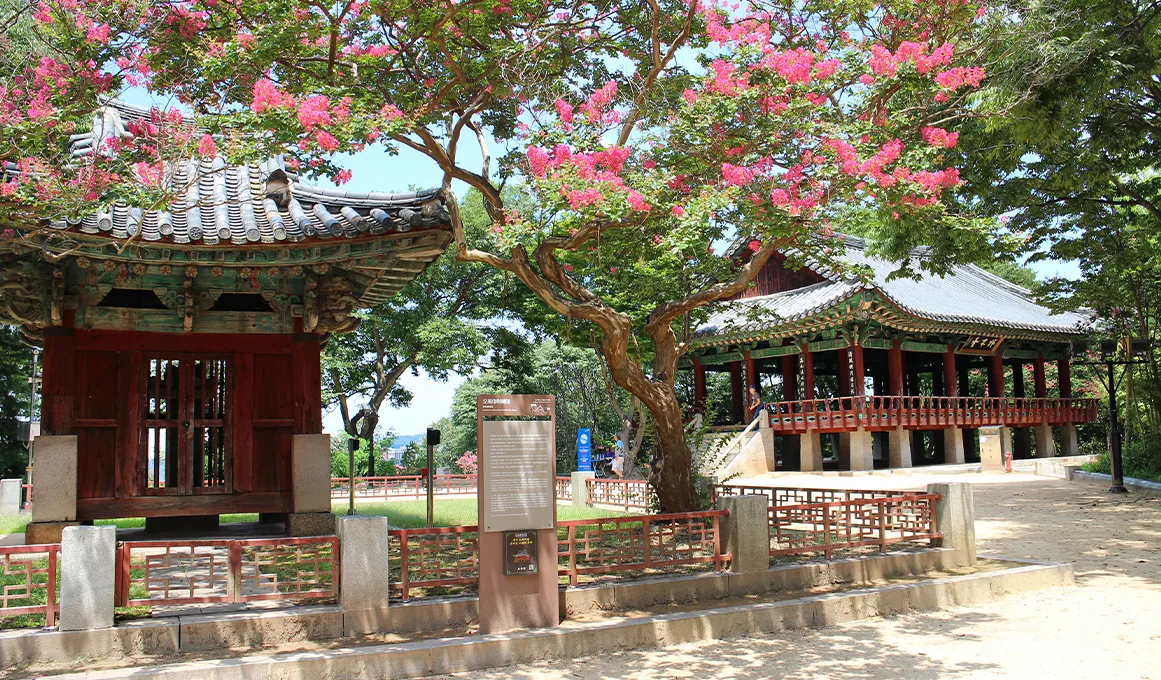 梧木台 — 百日紅に囲まれた梧木台の建物