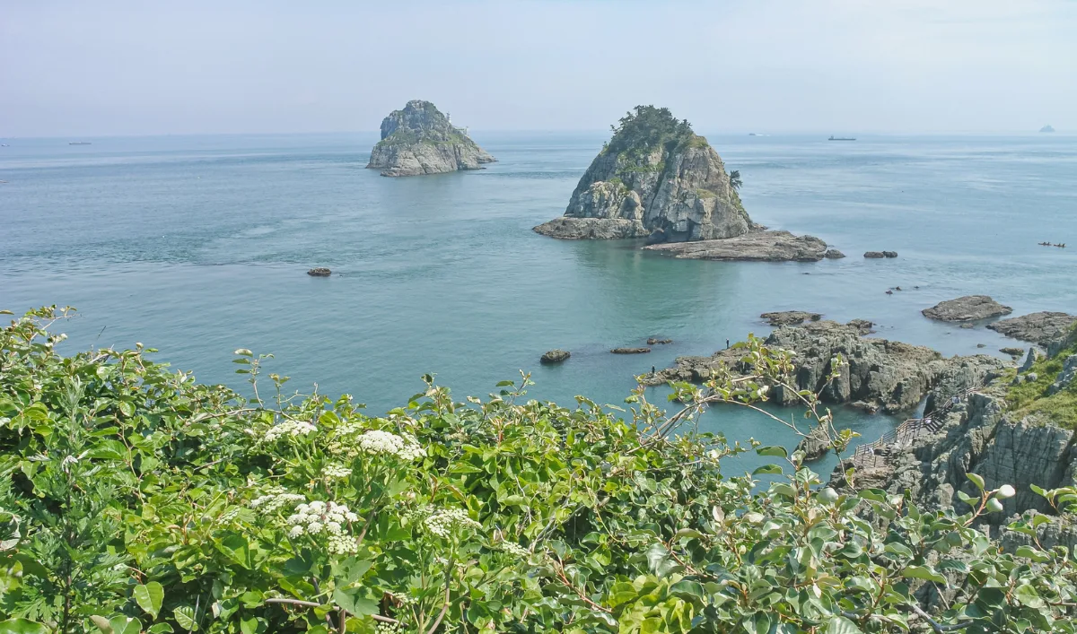 草花越しに眺める五六島
