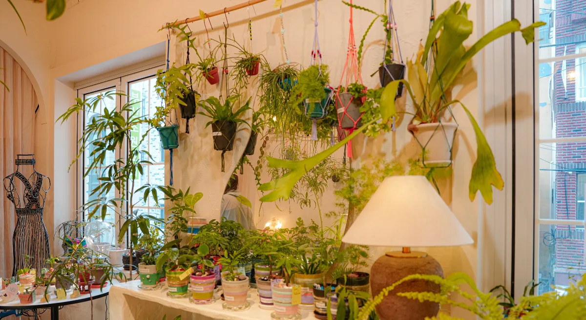PAPER GARDEN 本店 — 窓辺を彩る鉢植えと照明
