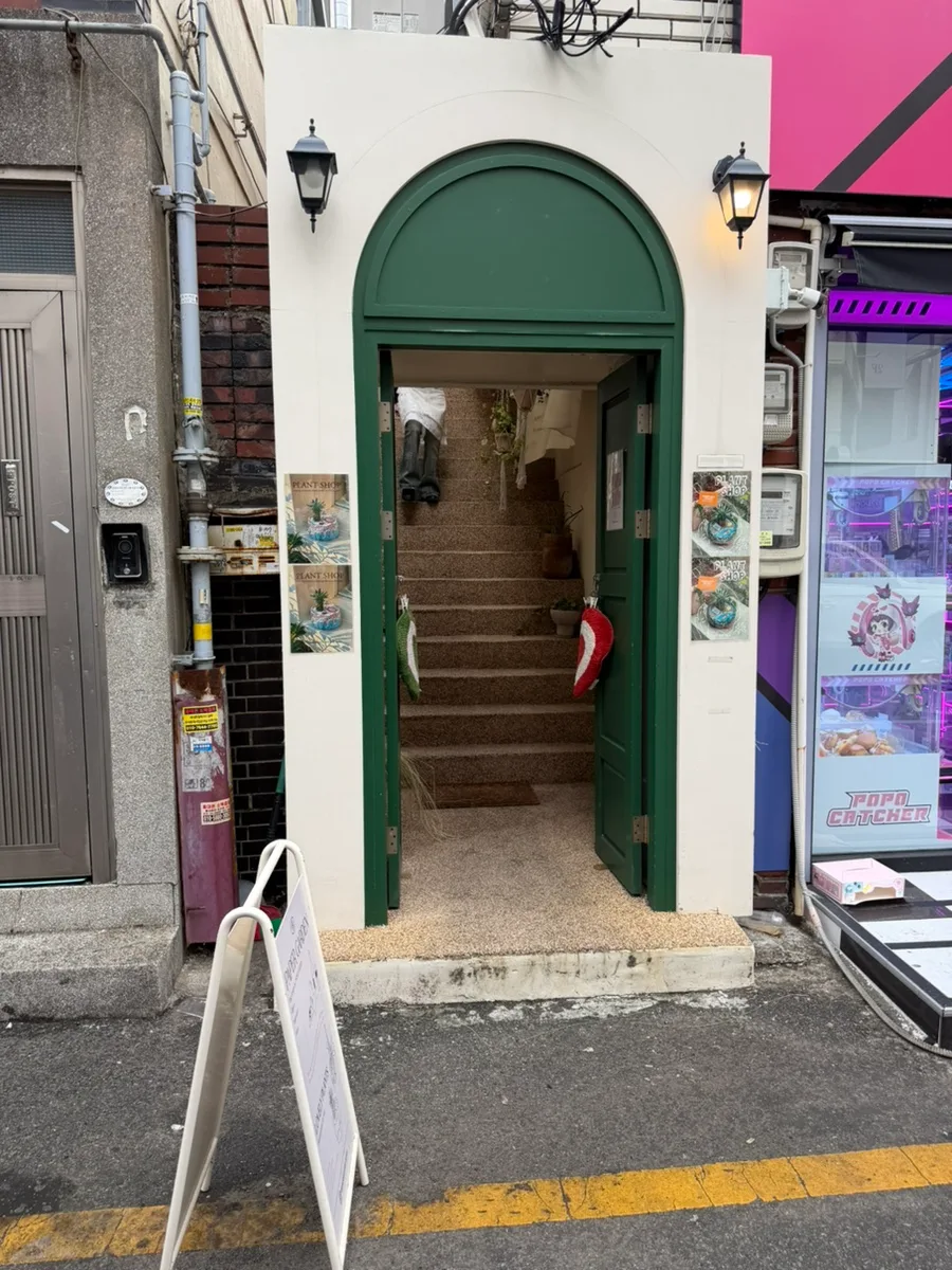 緑のアーチの扉の入口