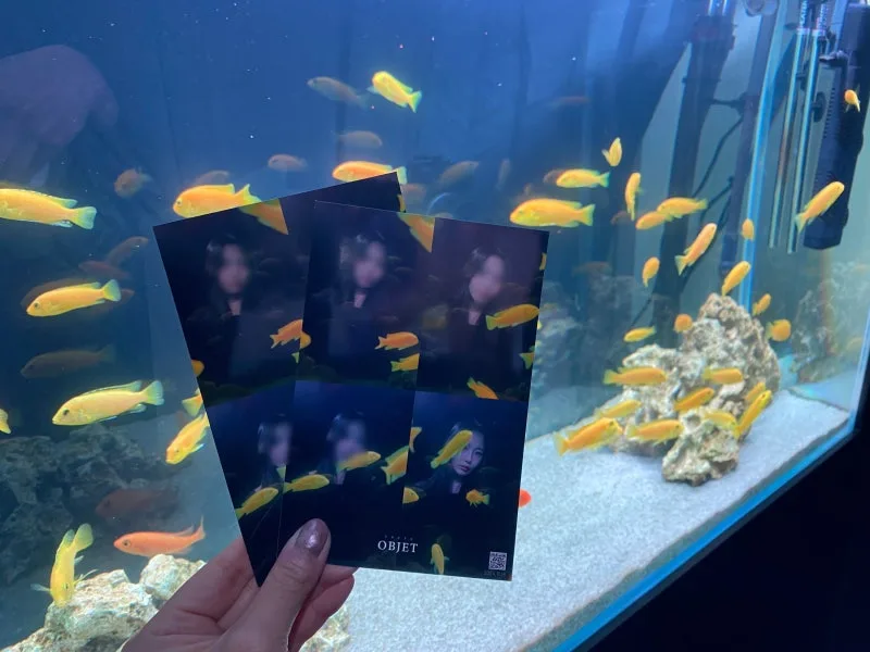 水槽の魚と撮ったフォトプリント