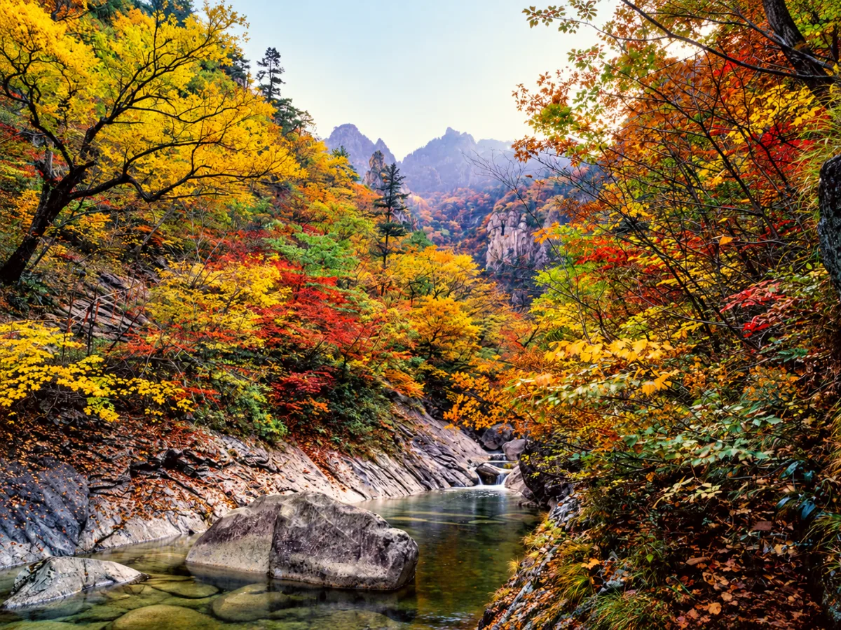 紅葉に囲まれた渓流