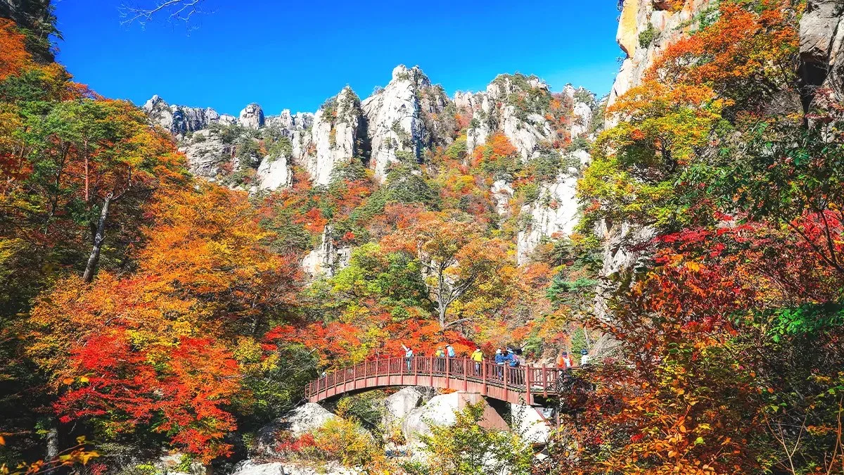 紅葉に囲まれた岩峰と赤い橋