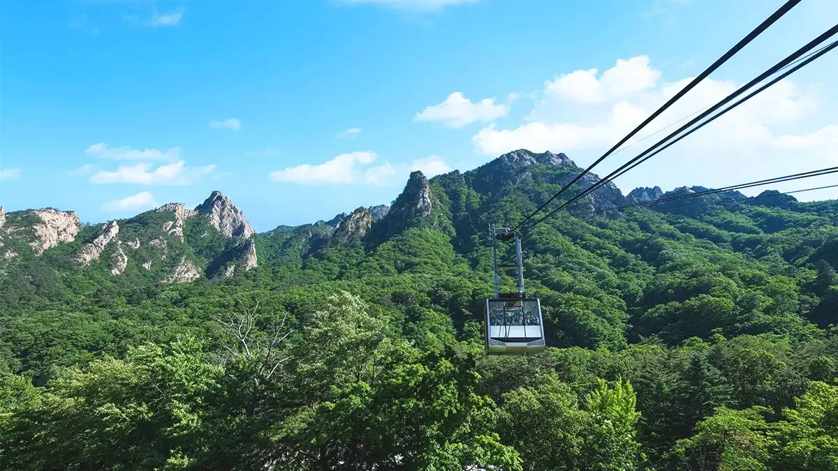 緑の岩山を越えていくケーブルカー