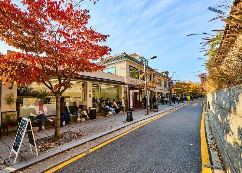 ソスンラギル — 赤く色づく街路樹と店先の席