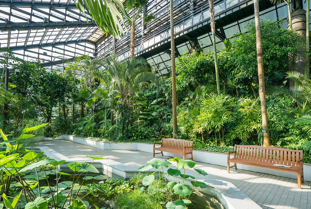 ソウル大公園 — 熱帯植物が茂る温室