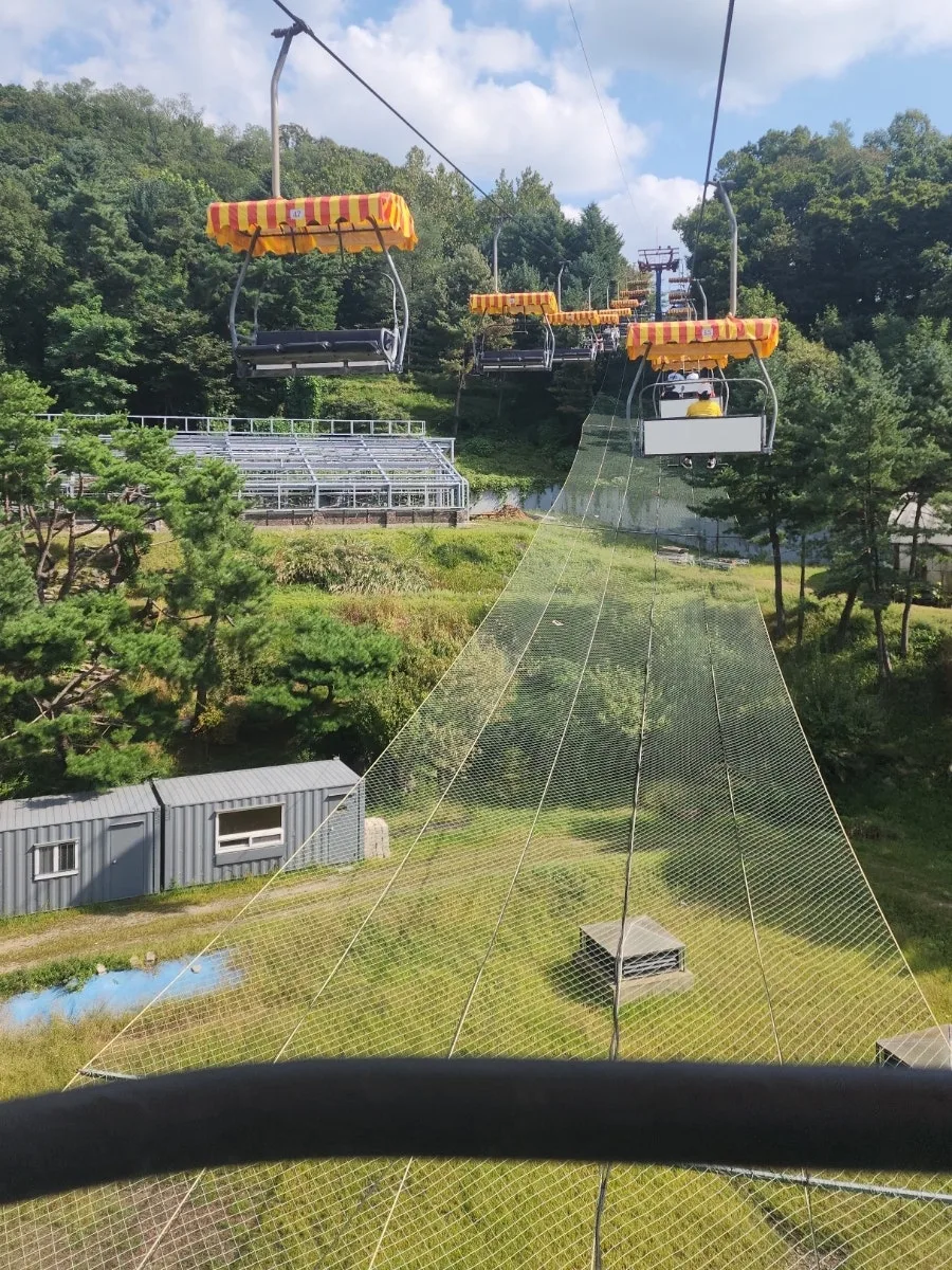 森の上を進むスカイリフト