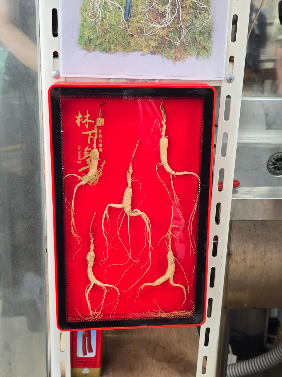 薬令市場 — 赤い箱に並ぶ高麗人参