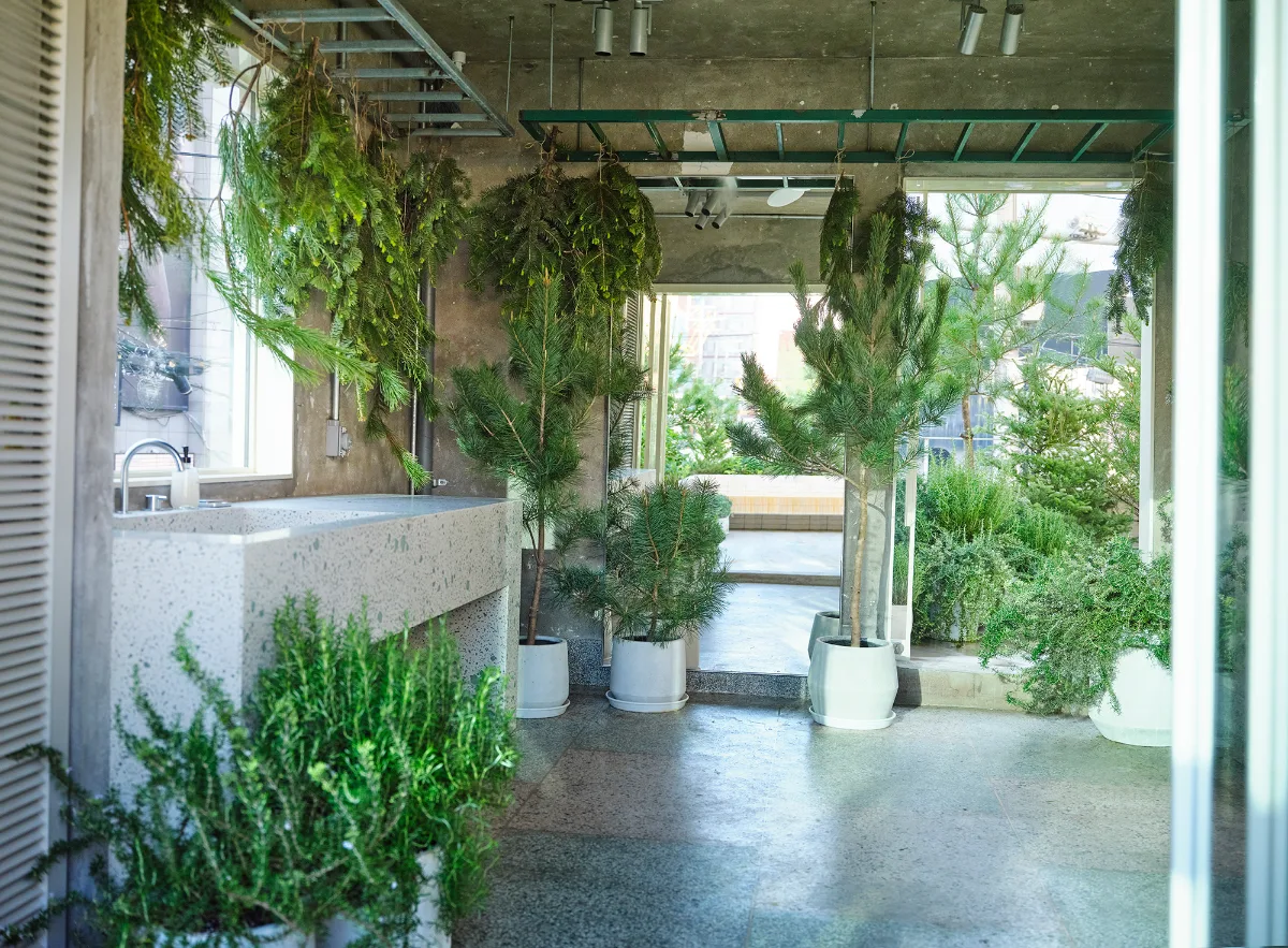 SHIRO 聖水店 — 鉢植えとハーブに囲まれた流し台