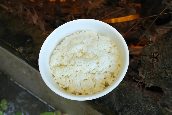 ご飯