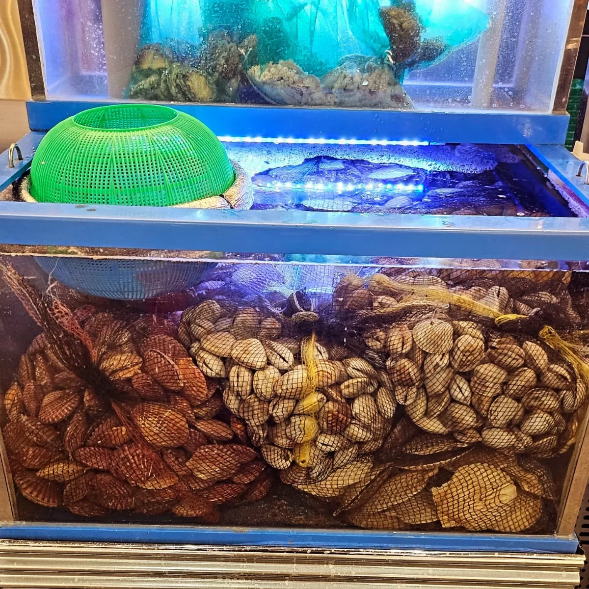 ホタテやアサリが入った店内の水槽