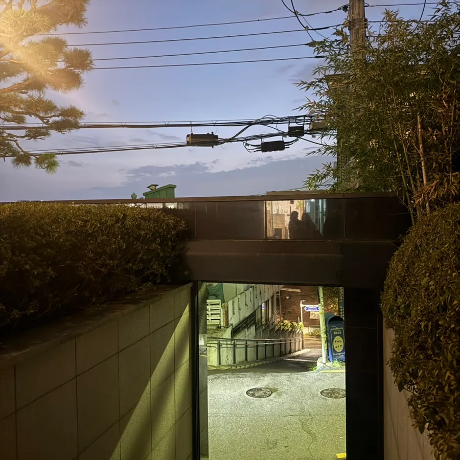 植え込みの間から見える坂道