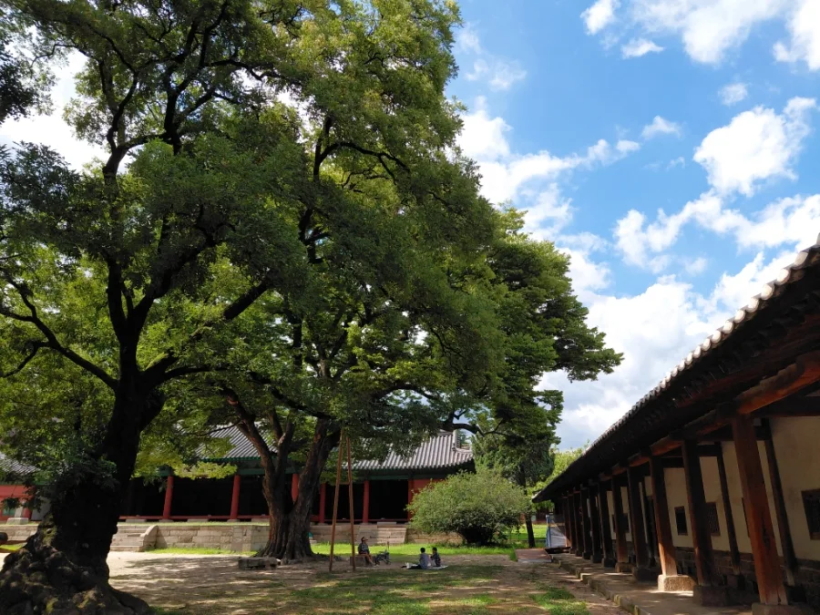 緑の木々と建物に囲まれた庭