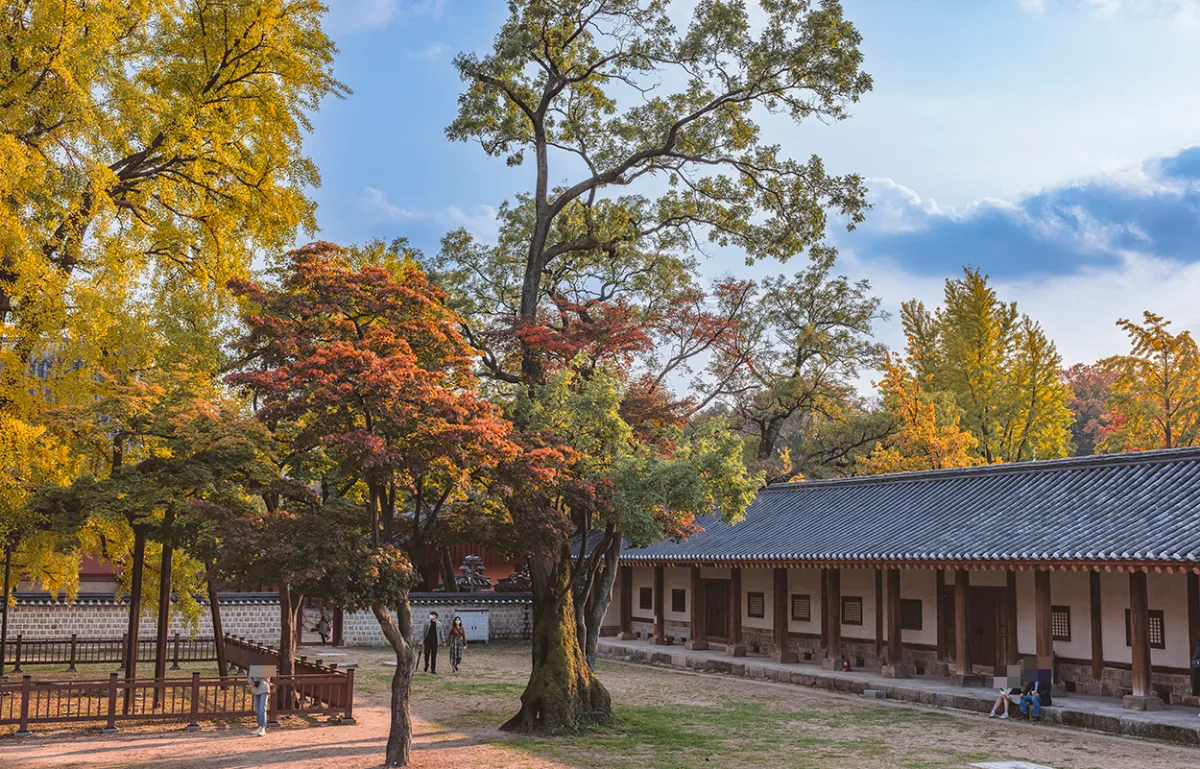 紅葉の庭に沿って延びる学生寮