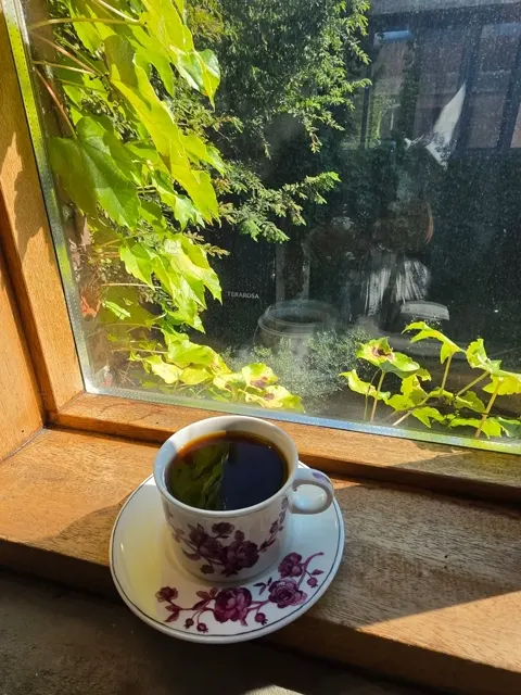 TERAROSAコーヒー工場 江陵本店