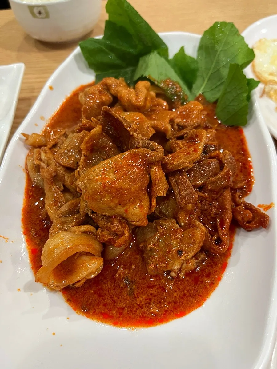 葉野菜を添えた赤いたれの豚肉