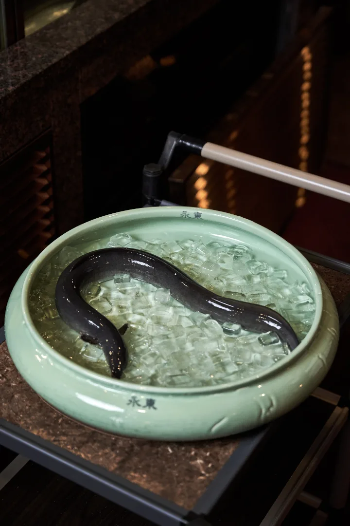江華島産干潟ウナギ（1人前350g、2人前から）