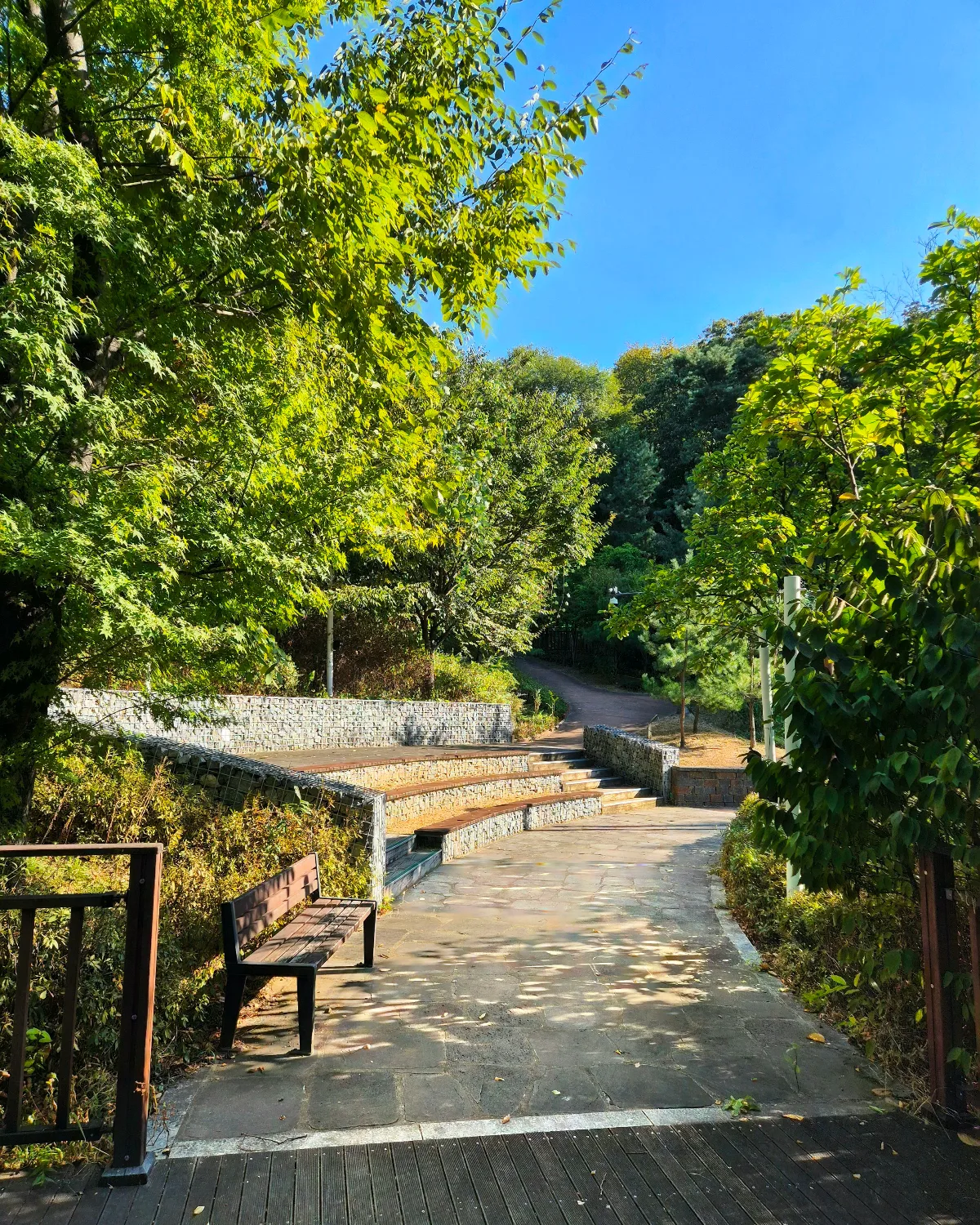 緑に囲まれた園路と階段